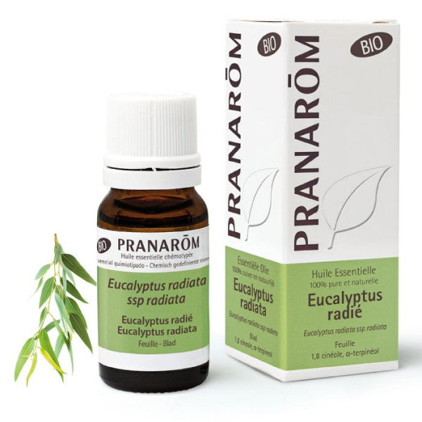 Aromathérapie et Phytothérapie